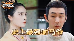 新史上最强驸马爷全集