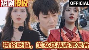 物价贬值，美女总裁跪求复合全集