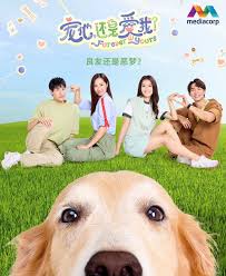 宠他，还是爱我全集