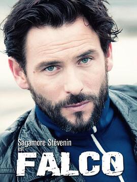 最后的警察（法国版) 第二季全集