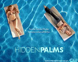 棕榈镇疑云全集