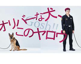 奥莉佛是狗，（天哪！！）这家伙全集