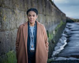 迷失海湾 第三季全集