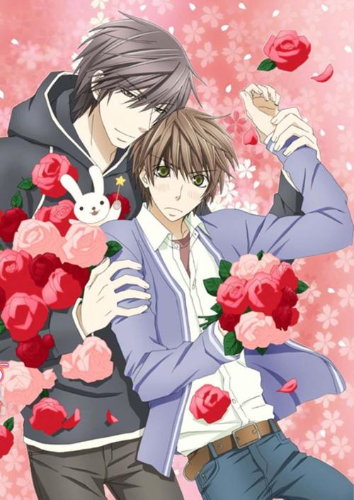 世界第一初恋 第二季全集