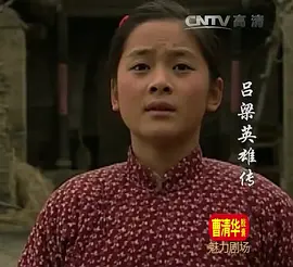 吕梁英雄传全集