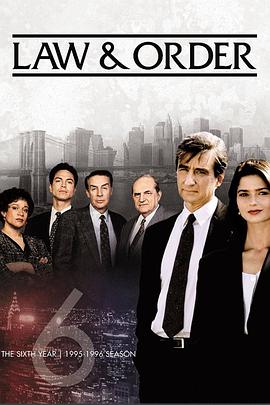 法律与秩序 第六季全集