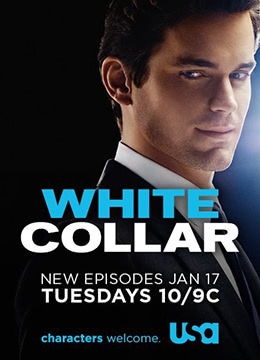 妙警贼探 第三季全集