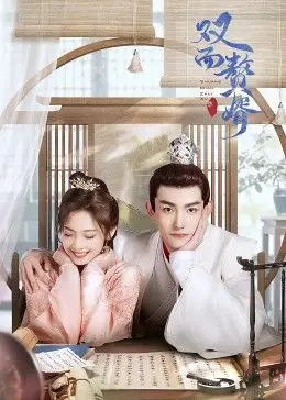 双面赘婿 第二季全集