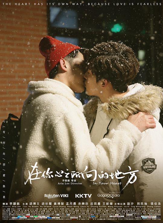 你好，我的心之所向全集