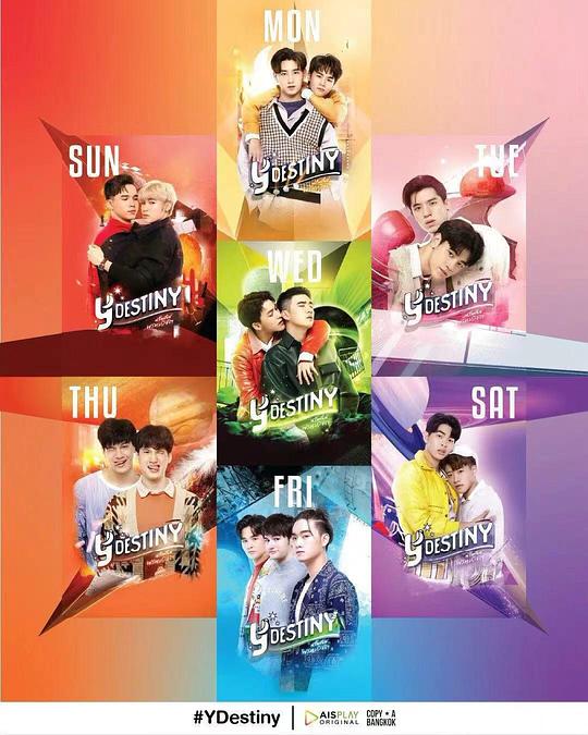 缘来天注定全集