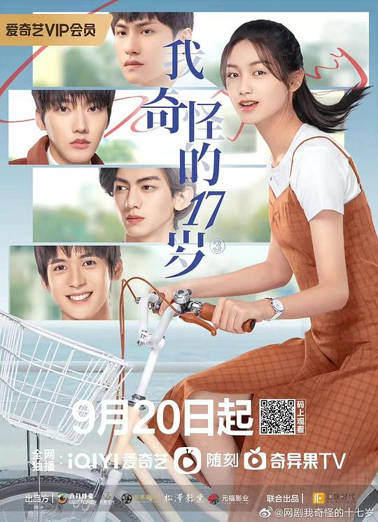 我奇怪的17岁全集