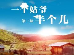 一个姑爷半个儿 第一部全集
