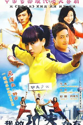 我的功夫女友全集