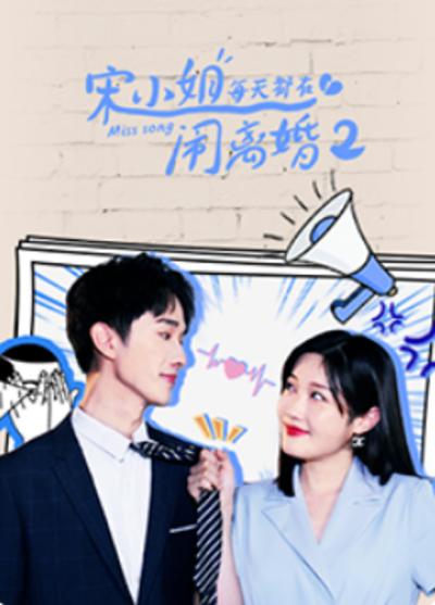 宋小姐每天都在闹离婚2全集
