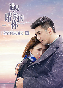 遇见璀璨的你 独家季 忆追爱记全集
