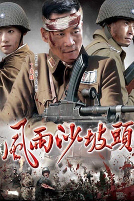 风雨沙坡头全集