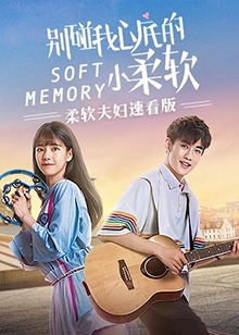 柔软夫妇速看版全集