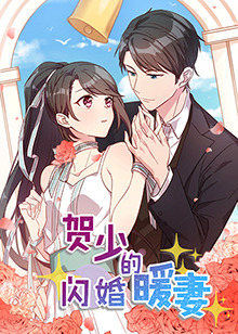 贺少的闪婚暖妻全集