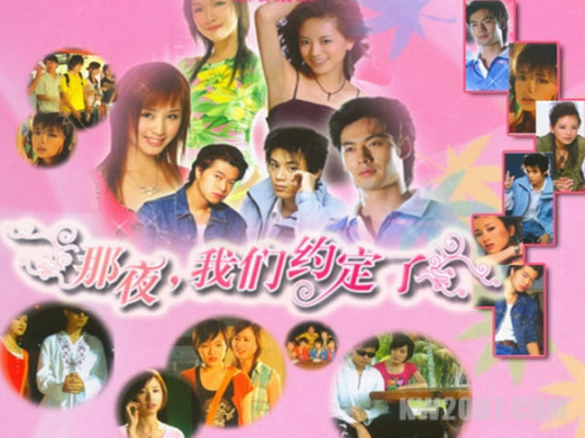 那夜我们约定了全集