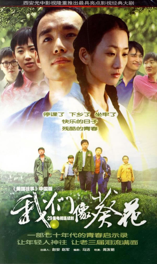 我们像葵花全集