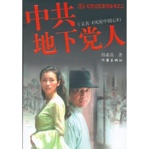 风雨中国心全集