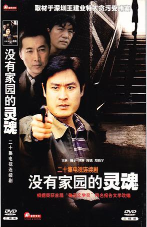 没有家园的灵魂全集