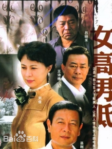 女高男低全集