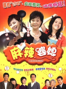 麻辣婆媳全集