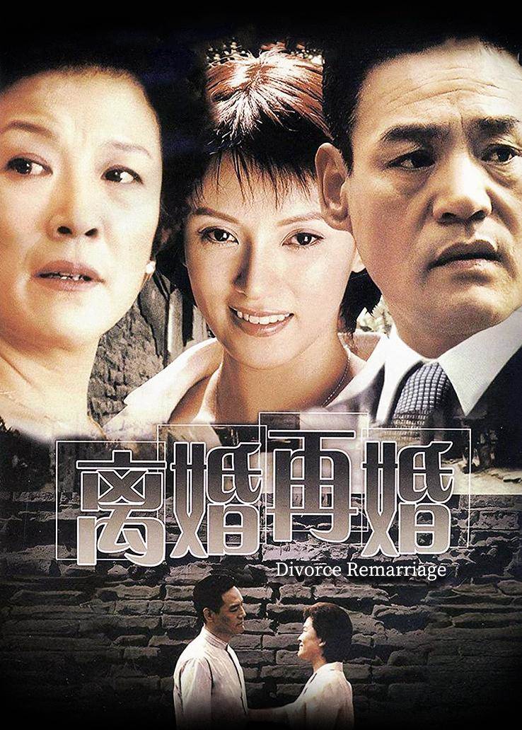 离婚再婚全集
