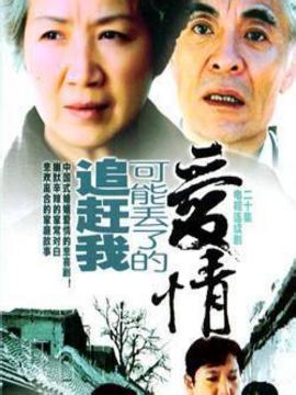 追赶我可能丢了的爱情全集