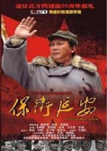 保卫延安全集
