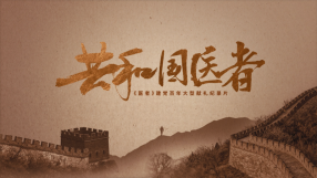 共和国之梦全集