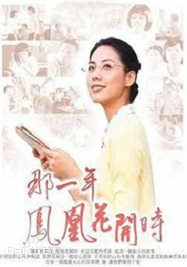 那一年凤凰花开时全集