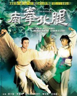 南拳北腿全集