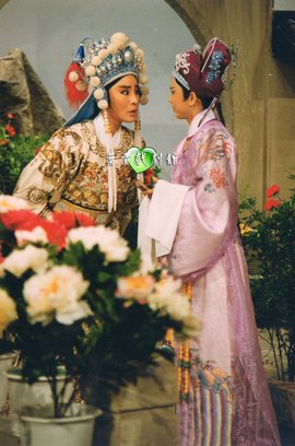 皇甫少华与孟丽君全集