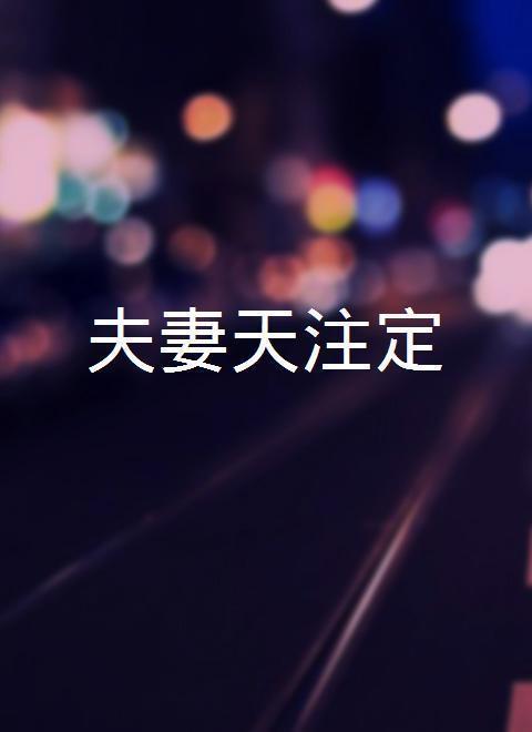 夫妻天注定全集