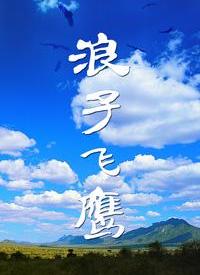 浪子飞鹰全集