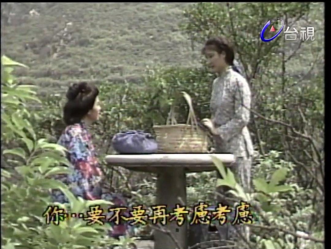 向太阳挑战全集