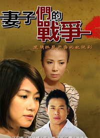 妻子们的战争全集