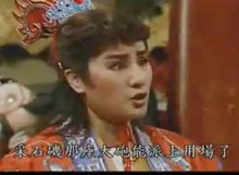 臭头洪武君全集