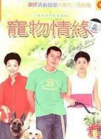 宠物情缘全集