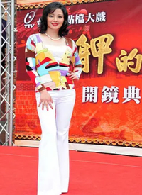 艋舺的女人全集