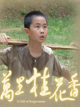 万里桂花香全集