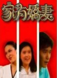 家有娇妻(粤语)全集