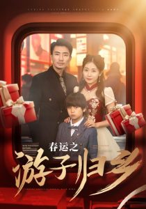 春运之游子归全集