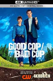 好警察-坏警察全集