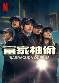 富家神偷 第二季全集