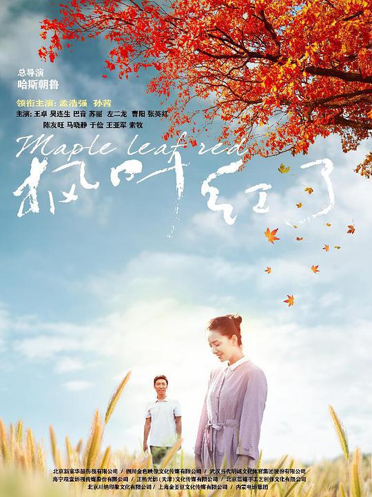 枫叶红了全集