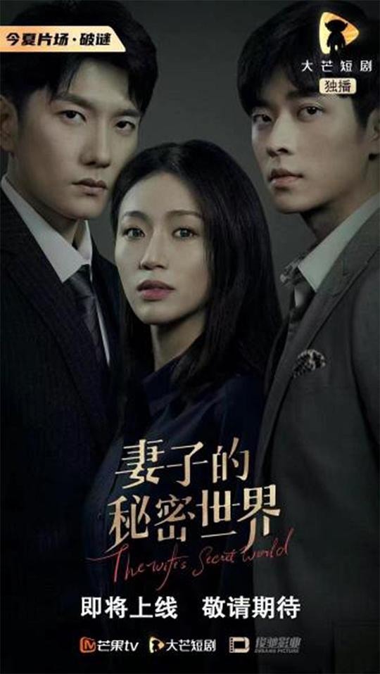 妻子的秘密世界全集