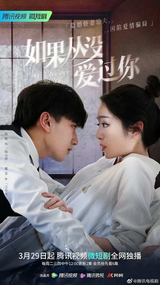 如果从没爱过你全集